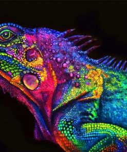 Glowing Chameleon paint by numbers