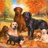 Labrador Dog paint by numbers