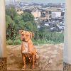 pitbul dog custom painting