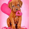 cute-dogue-de-bordeaux-paint-by-number