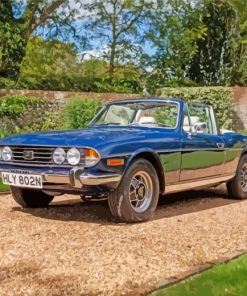 cool-triumph-stag-paint-by-numbers