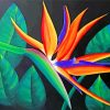 Aesthetic Bird Of Paradise Flower Paint by numbers