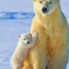 polar-bears-paint-by-number