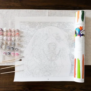 Custom Paint by numbers kit